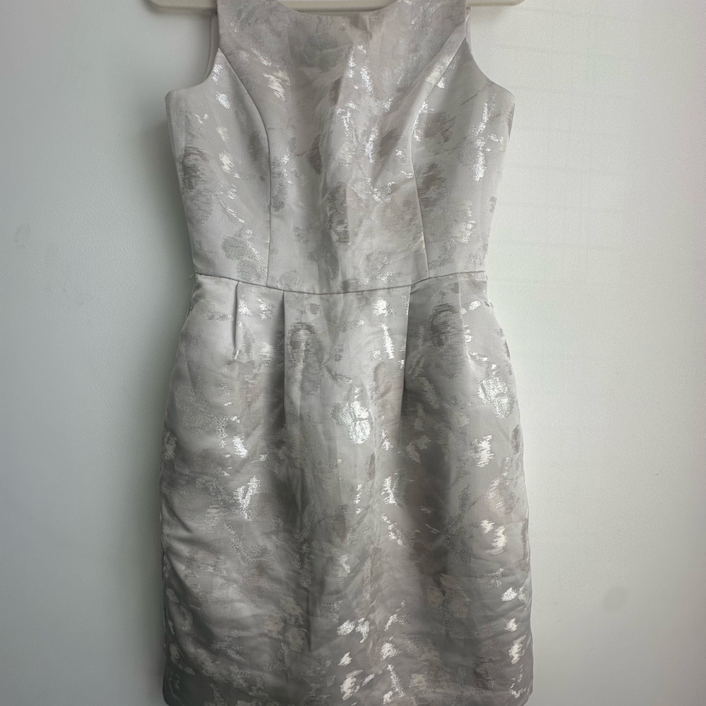 Elegant Silver Sleeveless Dress
